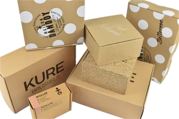 Ekspres teslimat Kutular içinde Zwijnaarde BE